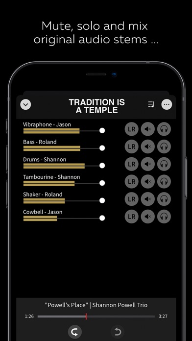Tradition Is A Temple - Vol 1 screenshot 1