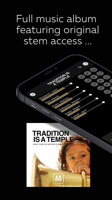Tradition Is A Temple - Vol 1 screenshot 3