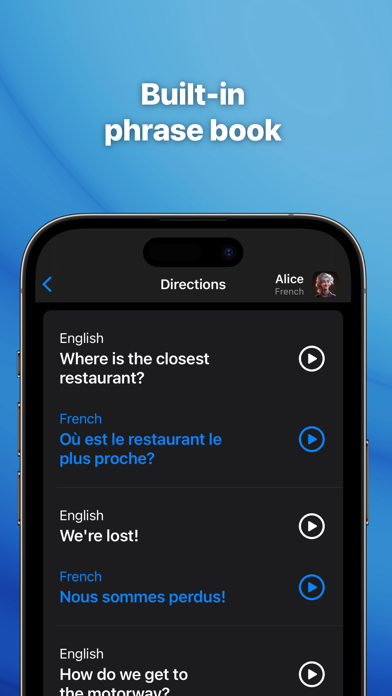Translate Professional screenshot 1