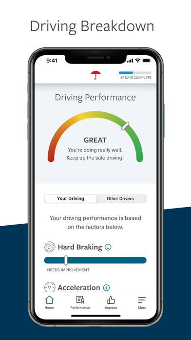 Travelers IntelliDrive® screenshot 4