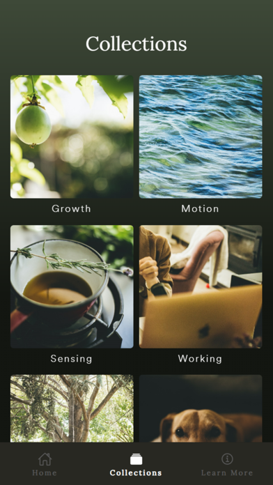 Treat App screenshot 2