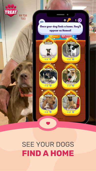 TREAT: Play & impact REAL dogs screenshot 3