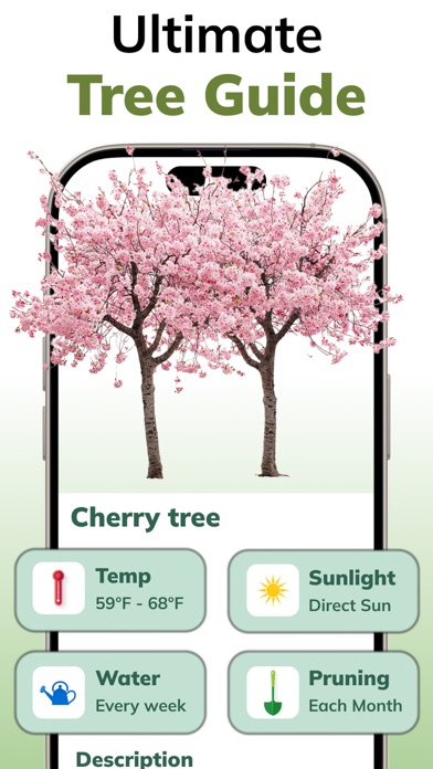 Tree Identifier AI: ID Trees screenshot 4