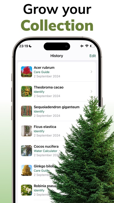 Tree Identifier AI: ID Trees screenshot 1