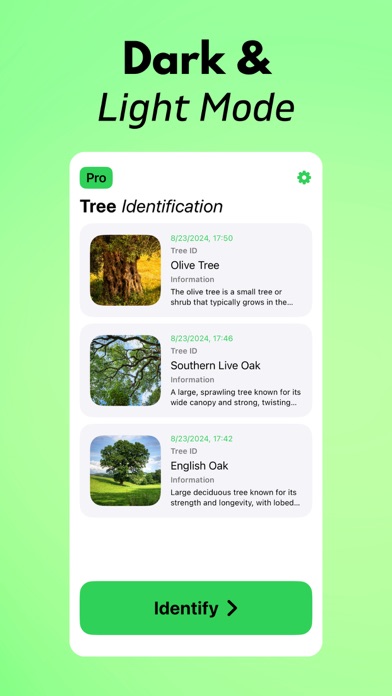 Tree Identifier AI: TreeIQ screenshot 1