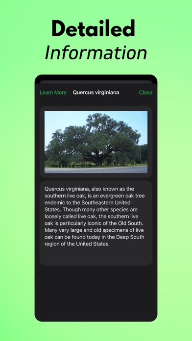 Tree Identifier AI: TreeIQ screenshot 3