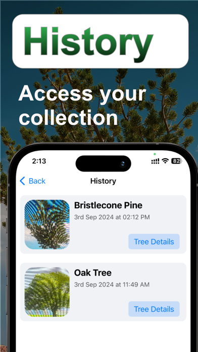 Tree Identifier: Tree id screenshot 2