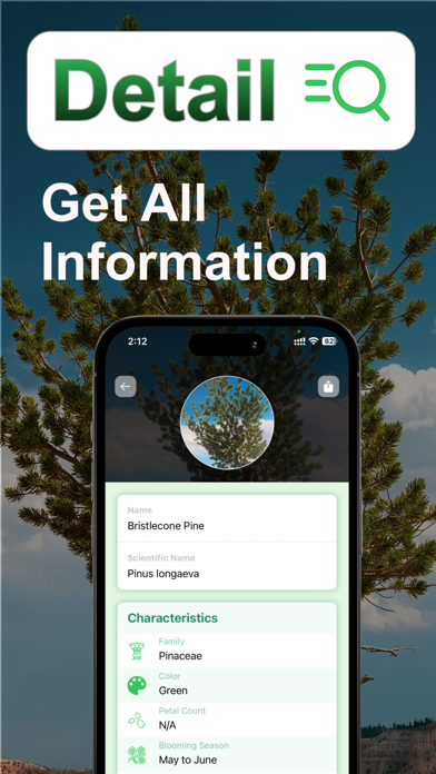 Tree Identifier: Tree id screenshot 3