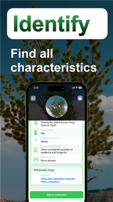 Tree Identifier: Tree id screenshot 1