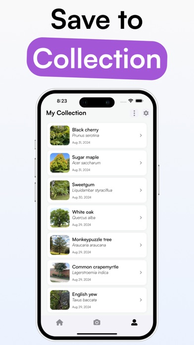 TreeID - Tree Identifier screenshot 1