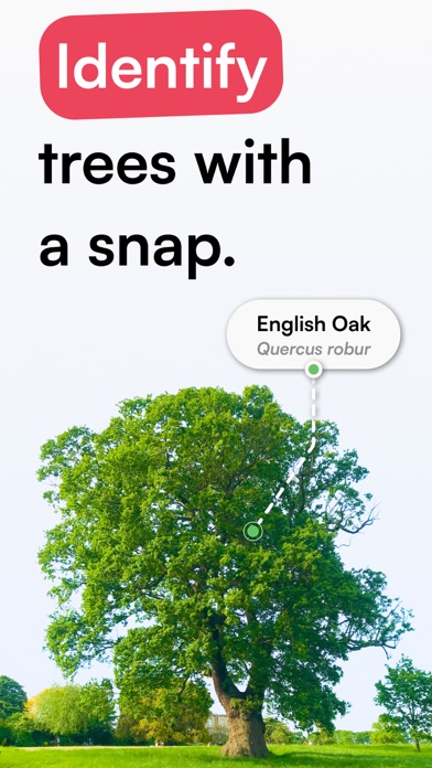 TreeID - Tree Identifier screenshot 4