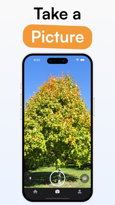 TreeID - Tree Identifier screenshot 3