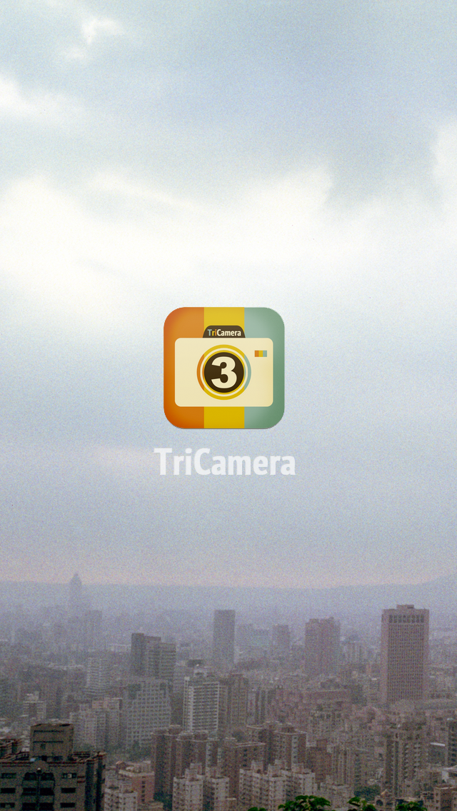 TriCamera - Triptych Camera screenshot 4