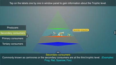 Trophic Levels by EduTech Era screenshot 2