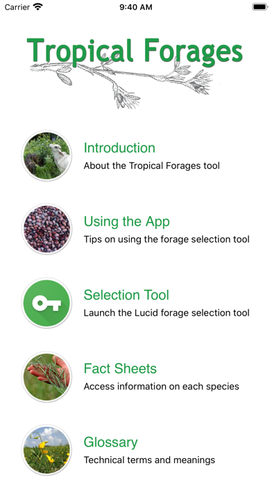Tropical Forages screenshot 5