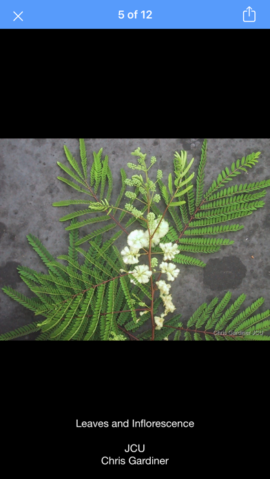 Tropical Forages screenshot 4