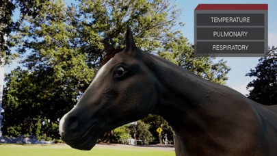 Trot To Trophy 2: TPR AR screenshot 2