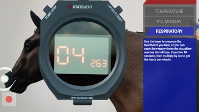 Trot To Trophy 2: TPR AR screenshot 1