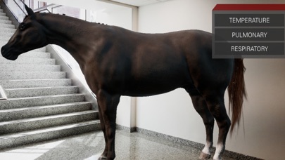 Trot To Trophy 2: TPR AR screenshot 3