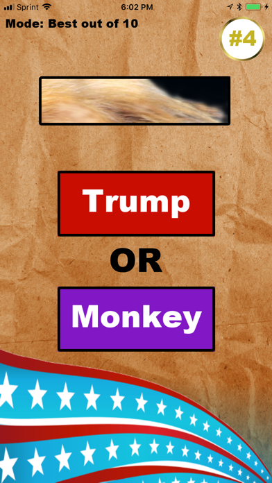 Trump or Monkey screenshot 2