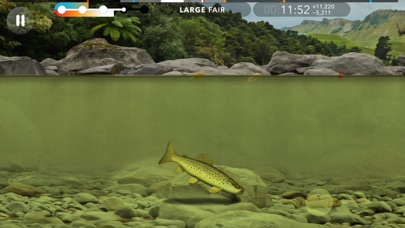 Trutta screenshot 2