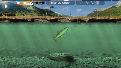 Trutta screenshot 4