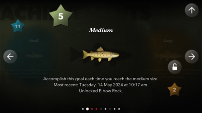 Trutta screenshot 7