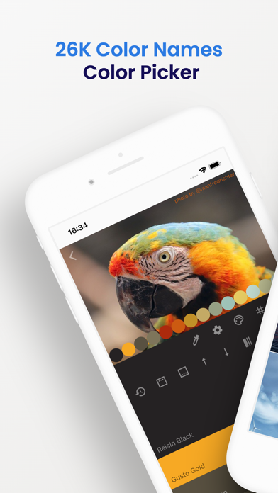 Tulip palette color picker screenshot 5