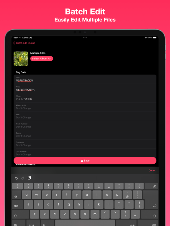 Tunetag MP3 Tag Editor screenshot 2