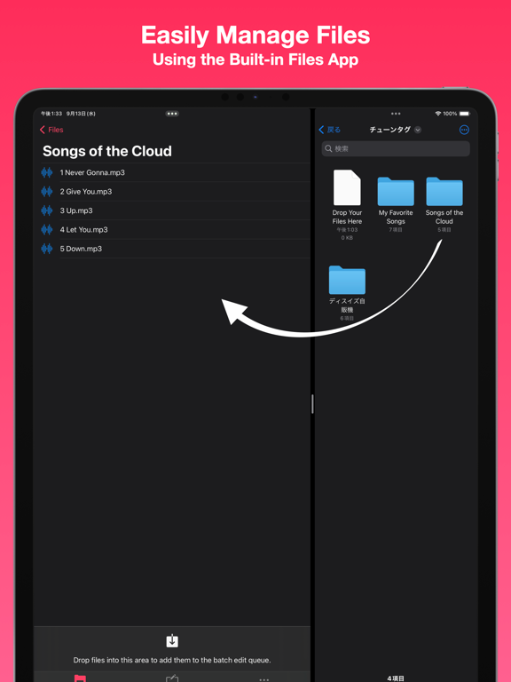Tunetag MP3 Tag Editor screenshot 4