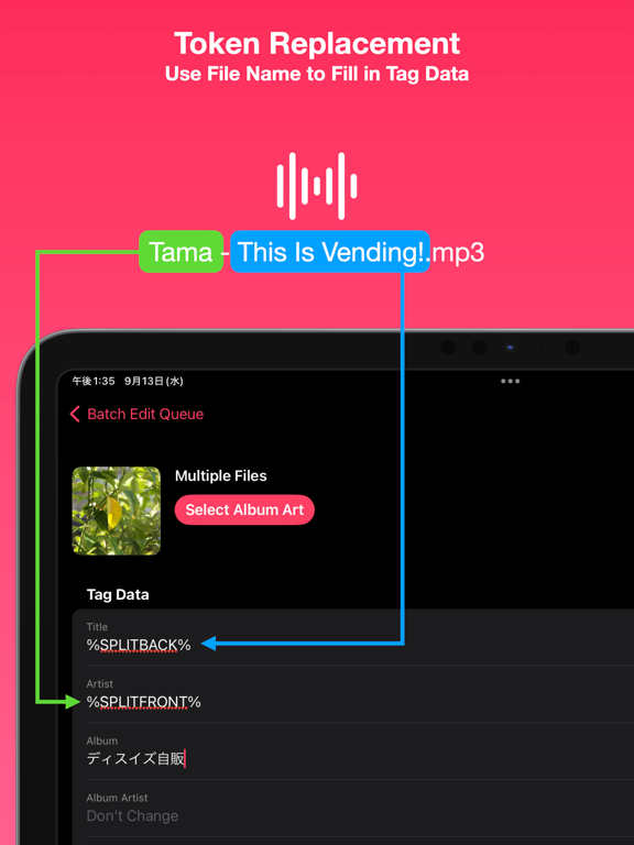 Tunetag MP3 Tag Editor screenshot 1