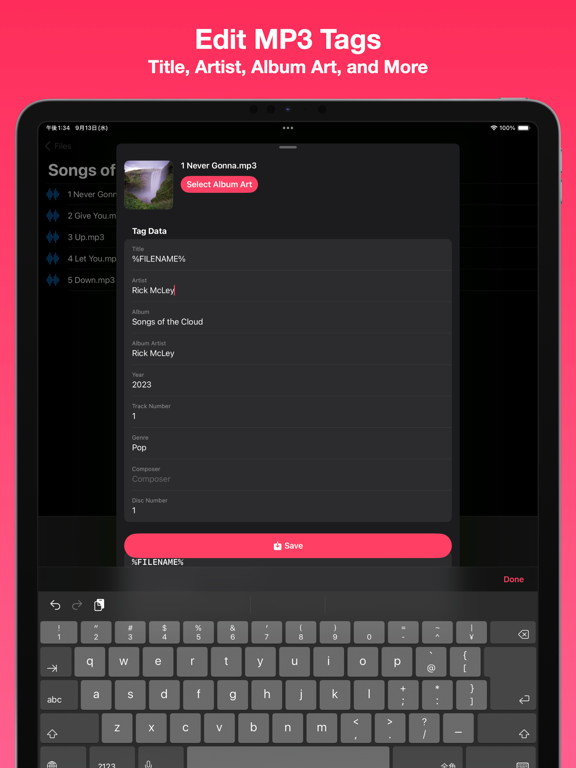 Tunetag MP3 Tag Editor screenshot 3