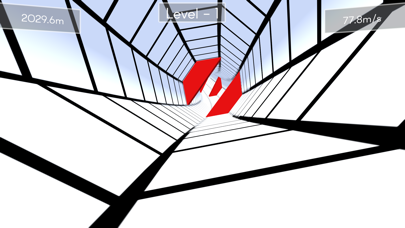 Tunnel Rush ! screenshot 2