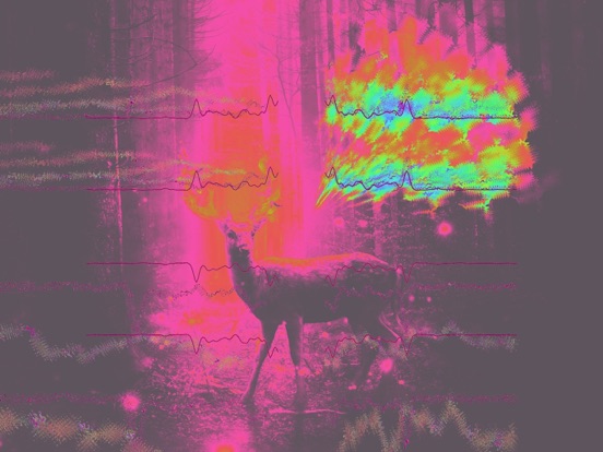 Tunr - Music Player Visualizer screenshot 7