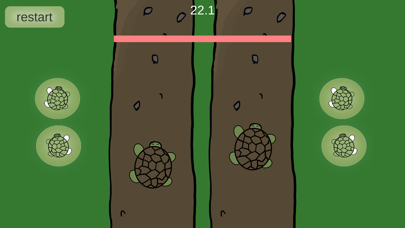Turtle Run Game! screenshot 2