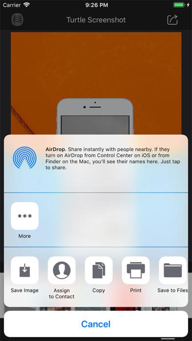 Turtle Wrapper-Screenshot screenshot 1
