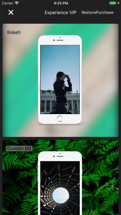 Turtle Wrapper-Screenshot screenshot 2