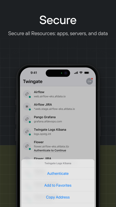 Twingate screenshot 1