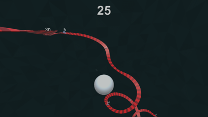 Twisty Road! screenshot 1