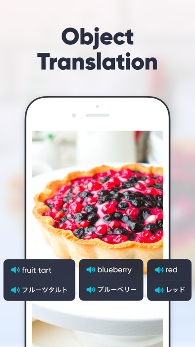 UDictionary Translator screenshot 1