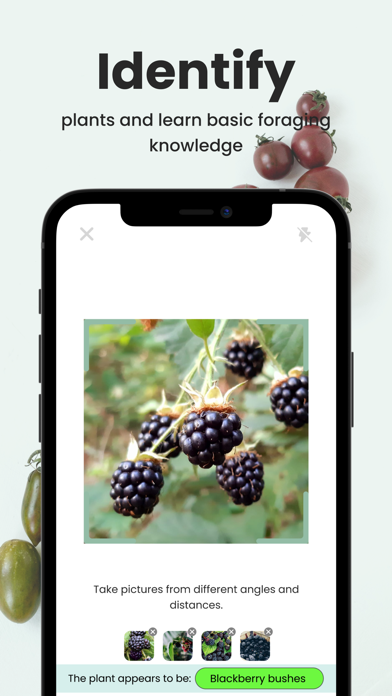 Uforage screenshot 3