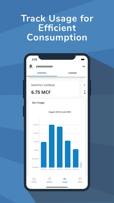 UGI Utilities Account screenshot 3