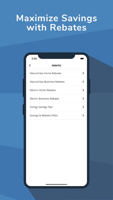 UGI Utilities Account screenshot 1