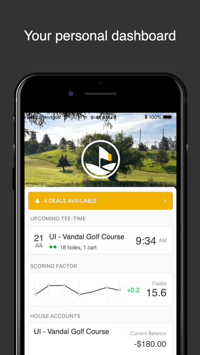 UI Vandal Golf screenshot 2