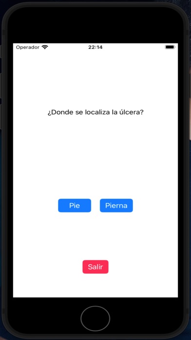 UlcerApp screenshot 2