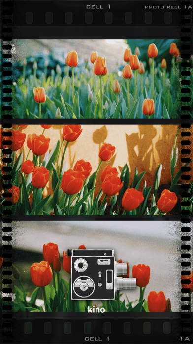 ULike Cam - Vintage Camera screenshot 2