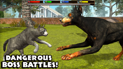 Ultimate Cat Simulator screenshot 1