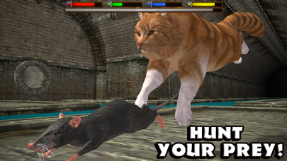 Ultimate Cat Simulator screenshot 4