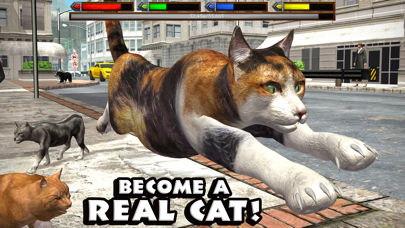 Ultimate Cat Simulator screenshot 5