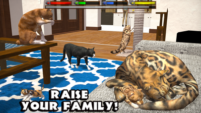 Ultimate Cat Simulator screenshot 2